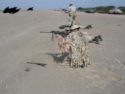 TECNICAS DE CAMUFLAJE Y TIRO